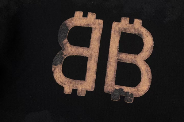 ブランドパーカー側面デザイン